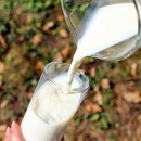В Калужской области суточное производство молока превысило тысячу тонн – Минсельхоз
