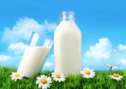 фотография продукта Молоко 5-7т/день Калуга 3,6-3,8%жир дост