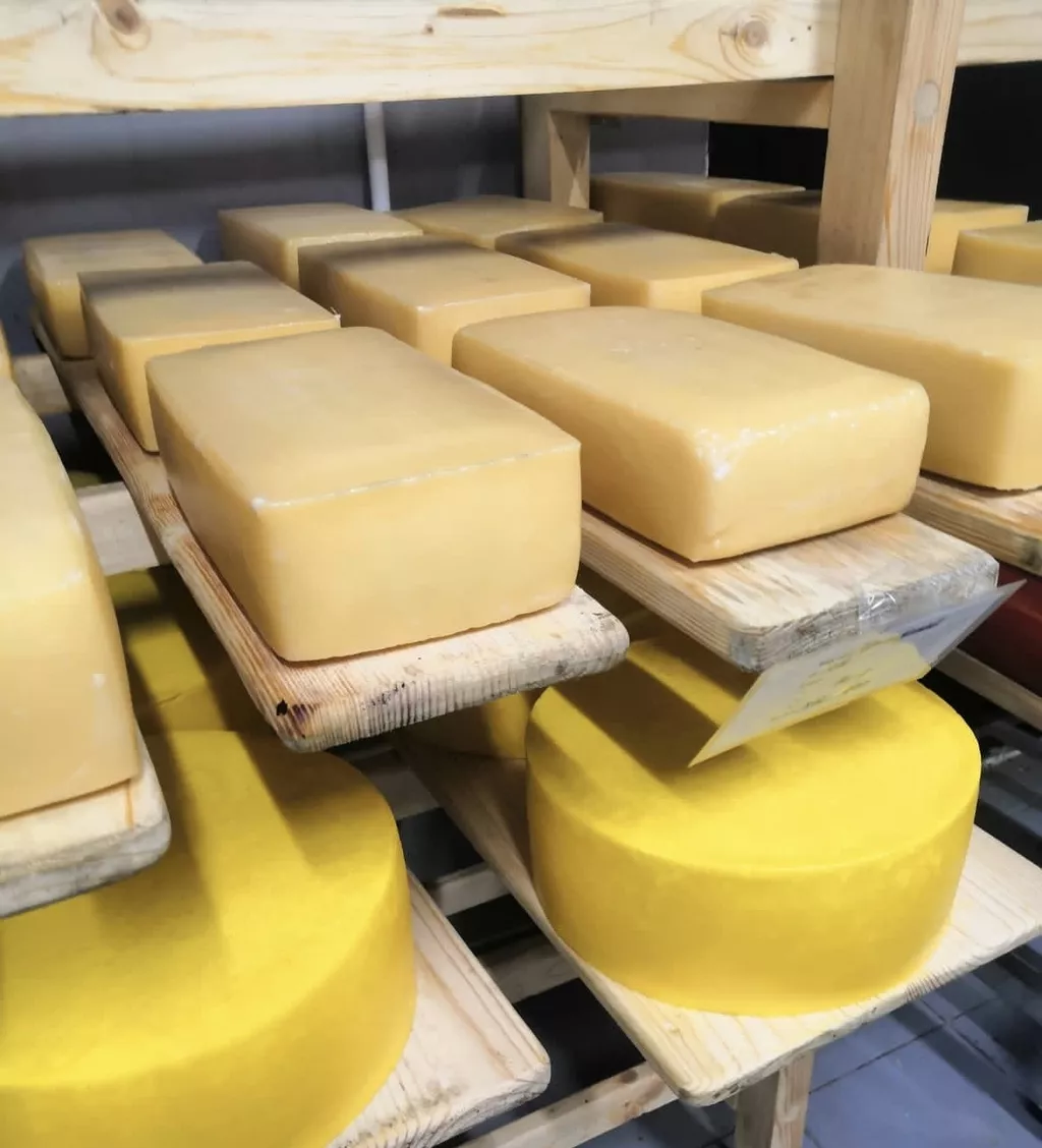 сыр ремесленный в Калуге и Калужской области